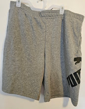 Load image into Gallery viewer, Puma Logo 10" Shorts
